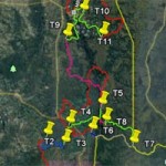 Swazi PRO: Red Ants do distance