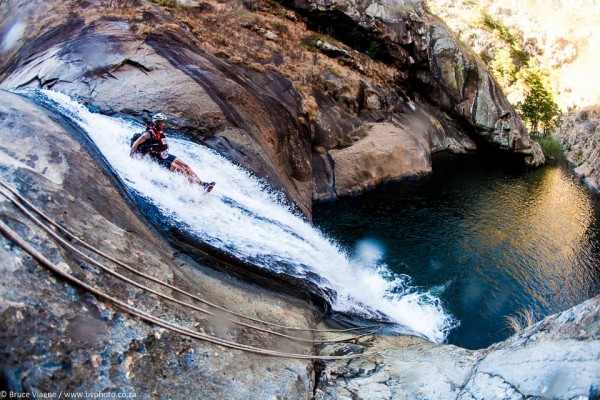 Photo by Bruce Viaene