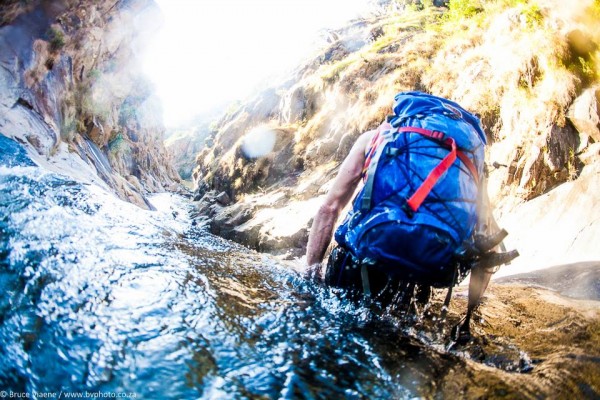 Photo by Bruce Viaene