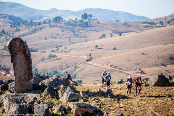 Photo by Bruce Viaene